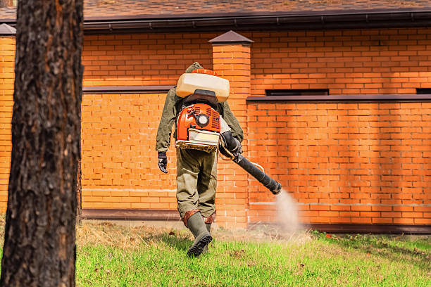 Trusted Rodent Control service in Flying Hills, PA - Nex Pest Control